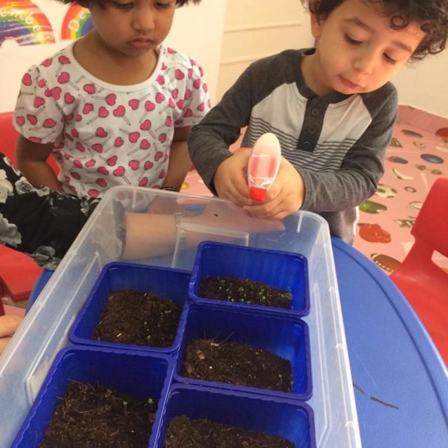 Plant and Garden Activity at Spring Fields Pre school